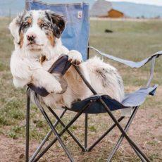 tips-for-choosing-a-camping-chair